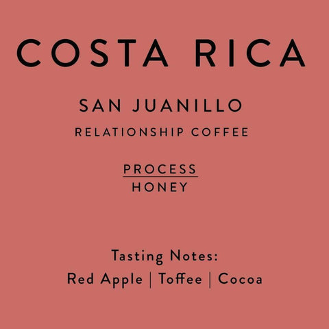 Horsham Coffee Roaster: Costa Rica, San Juanillo, Red Honey