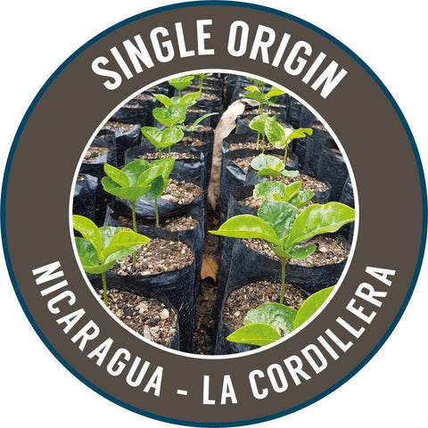 Rinaldo's Coffee: Nicaragua, La Cordillera, Washed