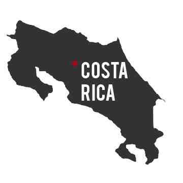 Artisan Roast - FARAMI Costa Rica alternate image 1