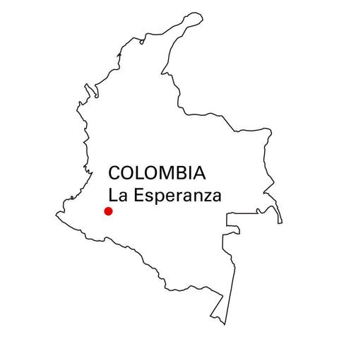Artisan Roast - La Esperanza - Colombia alternate image 1