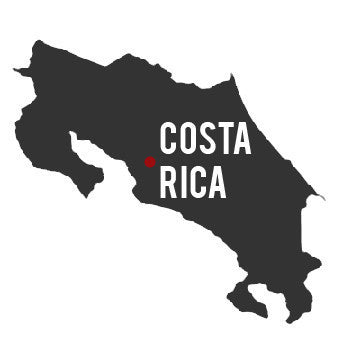 Artisan Roast - La Mesa Costa Rica alternate image 1