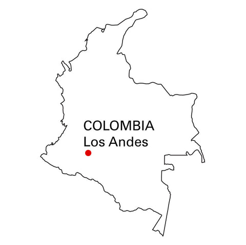 Artisan Roast - Los Andes - Colombia alternate image 1