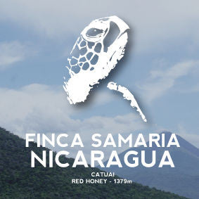 Avenue Coffee - Finca La Samaria (Nicaragua)