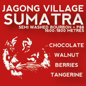 Avenue Coffee - Jagong Village (Sumatra)