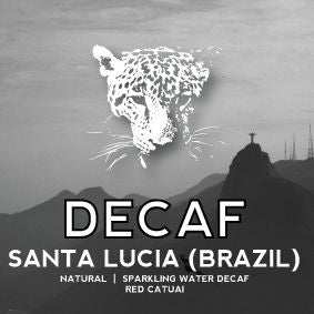 Avenue Coffee - Santa Lucia (Brazil) Decaf