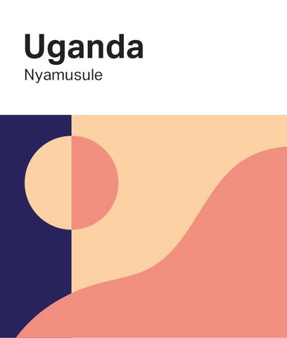 Casa Espresso: Uganda, Nyamusule, Washed