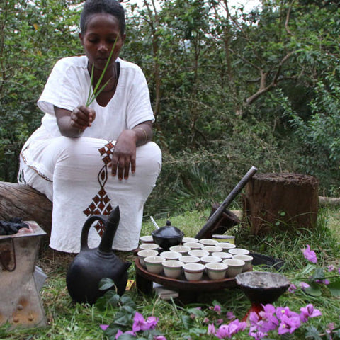 Clifton Coffee - Ethiopia: Diima (Lot#4) Guji, Oromia - Natural