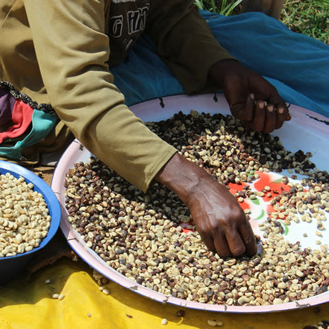 Clifton Coffee - Ethiopia: Duromina - Washed