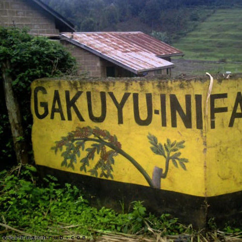 Clifton Coffee - Kenya: Gakuyuni AB