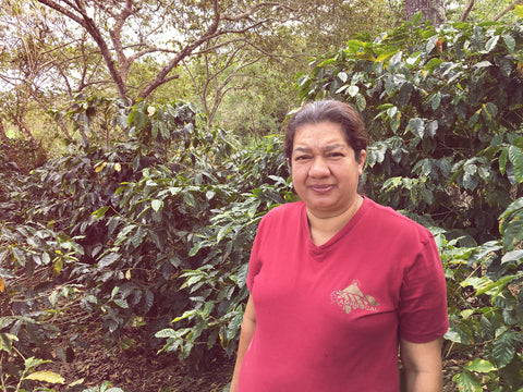 Clifton Coffee: Honduras, House Filter V.6, Rio Hondo, Washed