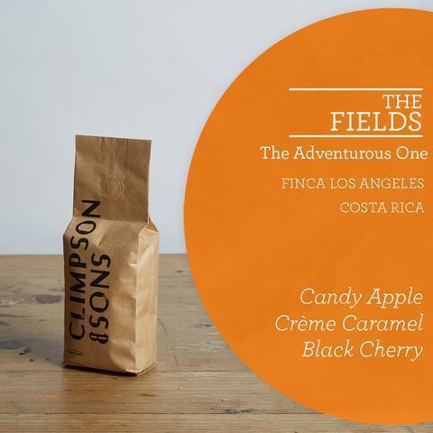 Climpson & Sons: The Fields: Costa Rica, Finca Los Angeles, Pulped Natural