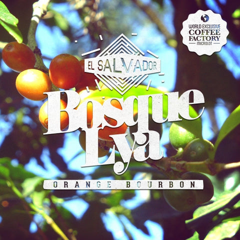 Coffee Factory - World Exclusive: El Salvador Bosque Lya Orange Bourbon