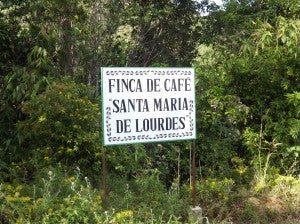 Foundry Coffee Roasters - Santa Maria De Lourdes: Nicaragua alternate image 1