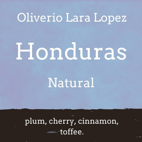 Foundry Coffee Roasters: Honduras, Oliverio Lara Lopez, Natural, Whole bean