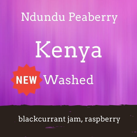 Foundry Coffee Roasters: Kenya, Ndundu Peaberry, Washed, Whole bean