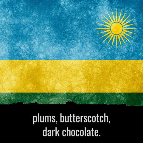 Foundry Coffee Roasters: Rwanda, Bushoki, Iyongera Musaruro Co Op, Washed