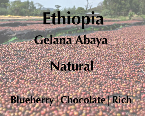 Horsham Coffee Roaster - Ethiopia Gelana Abaya Natural - New Crop