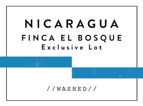 Horsham Coffee Roaster - Nicaragua Finca El Bosque - Exclusive Lot
