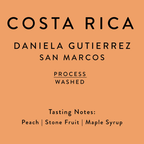 Horsham Coffee Roaster: Costa Rica, Daniela Gutierrez San Marcos, Washed