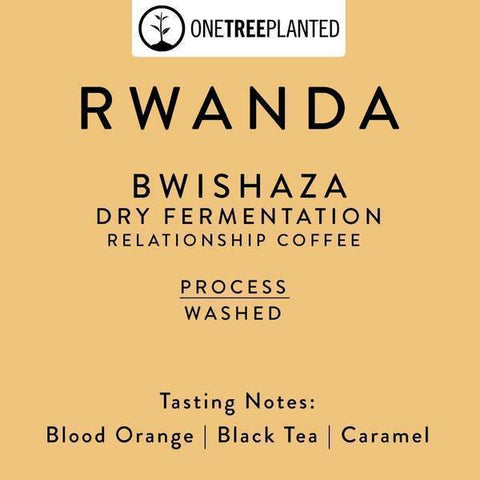 Horsham Coffee Roaster: Rwanda, Bwishaza, Dry Fermentation, Washed