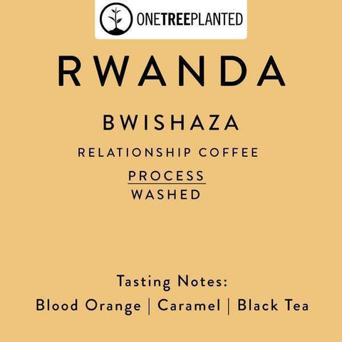 Horsham Coffee Roaster: Rwanda, Bwishaza Washing Station - Lot 2, Washed