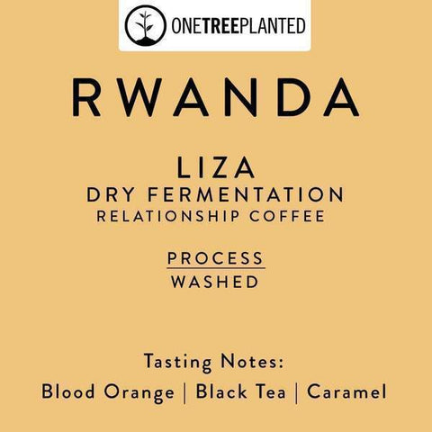 Horsham Coffee Roaster: Rwanda, Liza, Dry Fermentation, Washed