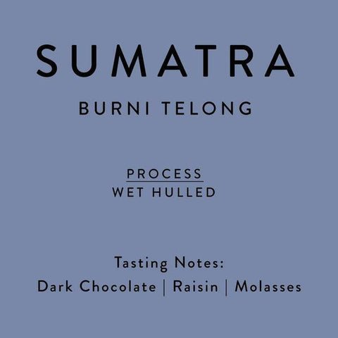 Horsham Coffee Roaster: Sumatra, Burni Telong, Pulped Natural