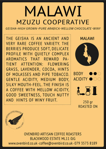 Ovenbird Coffee - Malawi Mzuzu Geisha