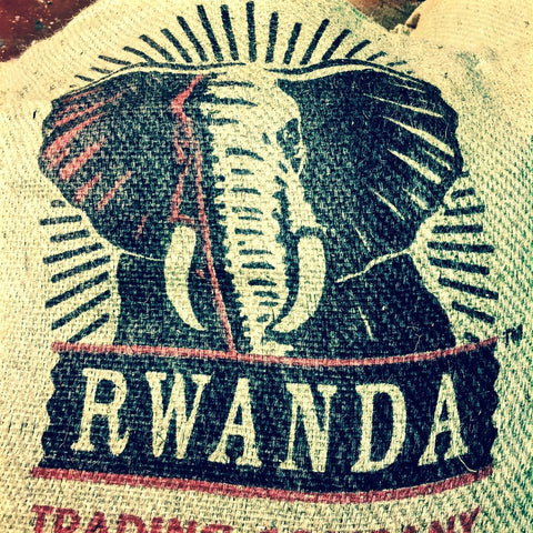 Ovenbird Coffee - Rwanda Women's Coffee Alliance Sake Farm