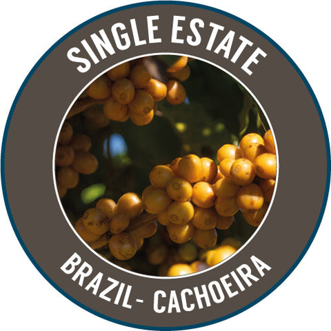 Rinaldo's Coffee: Brazil, Cachoeira - espresso, Natural