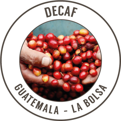 Rinaldo's Coffee: Guatemala, La Bolsa, Decaffeinated