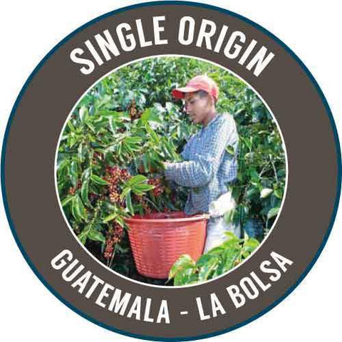 Rinaldo's Coffee: Guatemala, La Bolsa, Washed