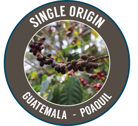 Rinaldo's Coffee: Guatemala, San Jose Poaquil, Anaerobic fermentation