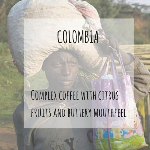 Rounton Coffee Roasters - Colombia Agustino Forest