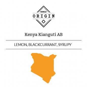 Rounton Coffee: Kenya, Kianguti, Washed