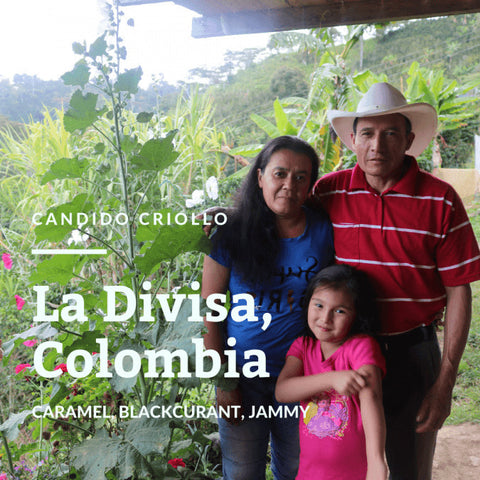 Rounton Coffee Roasters: Colombia, Finca La Divisa, Extended fermentation