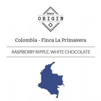 Rounton Coffee Roasters: Colombia, Finca La Primavera, Extended Fermentation, Washed