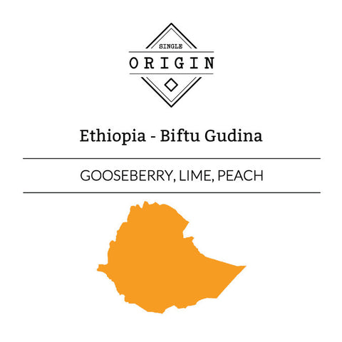 Rounton Coffee Roasters: Ethiopia, Biftu Gudina, Washed