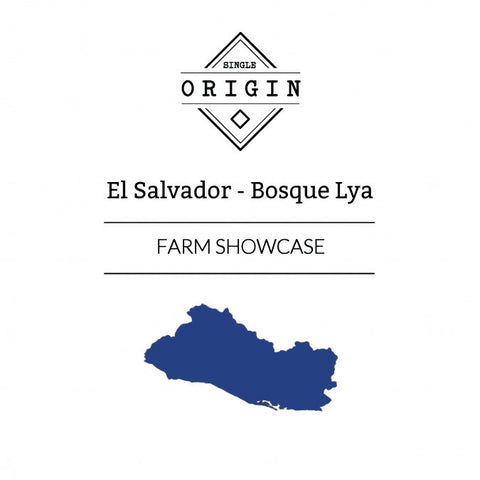Rounton Coffee Roasters: Finca Bosque Lya - Origin Showcase - Washed and Natural: El Salvador