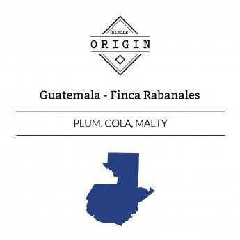 Rounton Coffee Roasters: Guatemala, Finca Rabanales, Pulped Natural