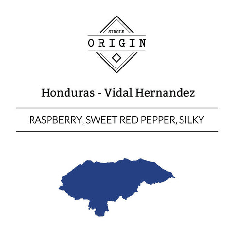 Rounton Coffee Roasters: Honduras, Vidal Hernandez, Washed