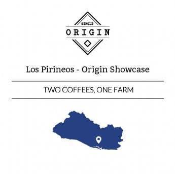 Rounton Coffee Roasters: Origin Showcase - 2 coffees: El Salvador, Los Pirineos, Natural