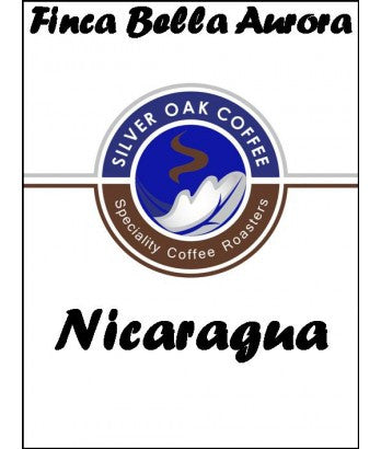 Silver Oak Coffee - Single Estate: Finca Bella Aurora, Nicaragua
