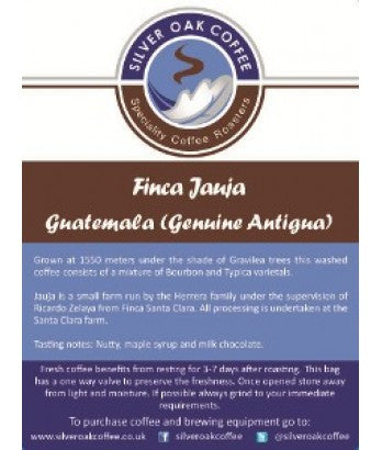 Silver Oak Coffee - Single estate: Finca Jauja, Guatemala