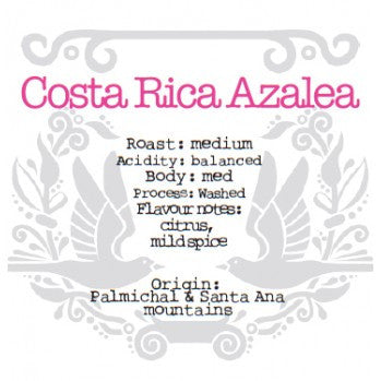 The Crafted Coffee Company - Cost Rica Azalea