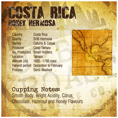 Urban Roast Coffee Co - Costa Rica Tarrazu Hermosa Honey alternate image 1